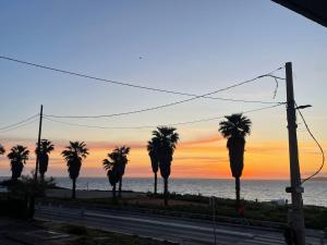 FLCbm- Premium-Beach-2 Rooms-Clim-Terace-Lift-Box