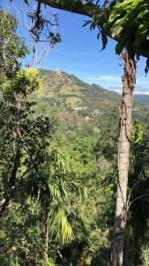 Pepper Garden Resort