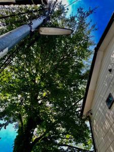 Sweet house Tobu Nerima 001