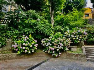 Sweet house Tobu Nerima 001