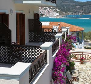 Pleoussa Studio and Apartments Skopelos Greece