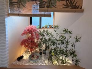 松心居大二 难波大户型 全新日式4房1厅2浴2厕2洗漱台1阳台