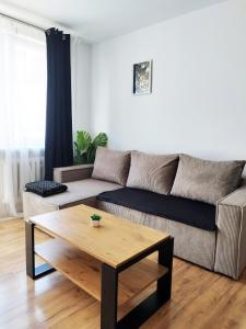 Rynek Golden Stay by Grafit