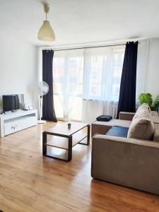 Rynek Golden Stay by Grafit