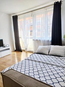 Rynek Golden Stay by Grafit