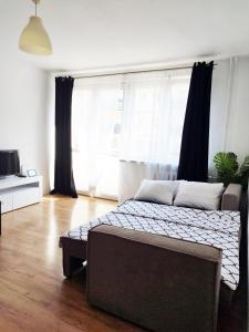 Rynek Golden Stay by Grafit