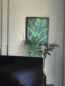 Ob-Oon Boutique Bed & Breakfast