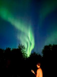 Upea Villa Lapin Kulta hirsihuvila Inarijärven rannalla