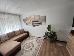 Central main street apartament