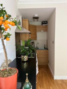 One Bedroom Apartment with Tranquil Sanctuary