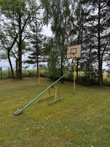 Okuniowiec u Wojciecha