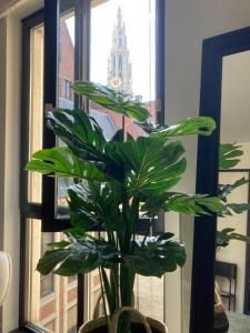 Appartement historisch centrum Antwerpen