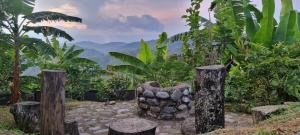 Don Café - Luxury and confort