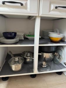 Apartament Vikicentrum