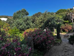 Appartamento Flavia img5