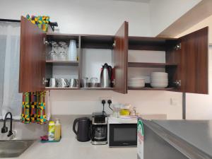 Afropolitan Stays Kisumu