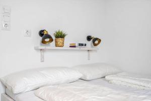 7788-Hvide-Sande-Mamrelund-33