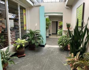 Hotel la Estrella de la Mañana