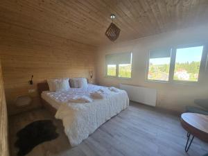 Cabane A-frame CeziAde Tihuta