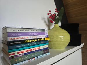 Cabane A-frame CeziAde Tihuta