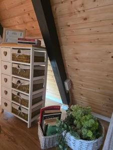 Cabane A-frame CeziAde Tihuta