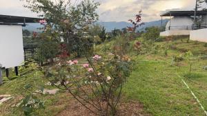 ข้างเขาแคมป์ Khangkhao Camp