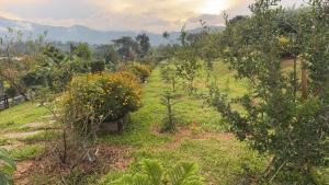 ข้างเขาแคมป์ Khangkhao Camp