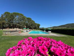 Agriturismo SantAngelo