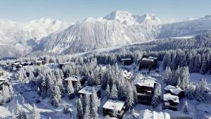 Résidence avec jardin