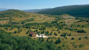 Highland breeze - მთის ნიავი