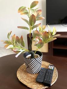 Cozy 2 bedrooms Apartment at Dar es Salaam