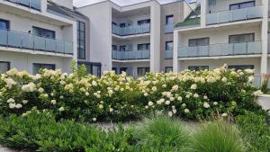 Apartament Piaskowy Sunset Resort