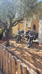 Affittacamere Il FIORE img2