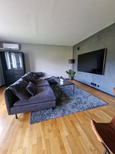 Cozy apartment close to Trondheim City