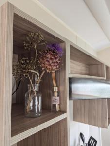 Salsa static caravan close to Edinburgh