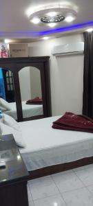 great apartment in cairo