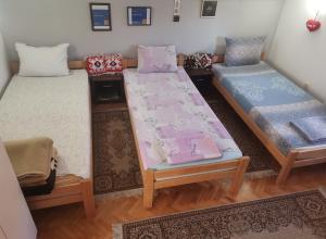 Apartman Kotin