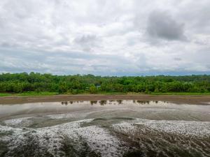 Sleep 11-Beachfront-Pool-Wildlife-100MB -Suites
