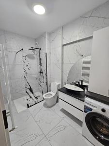 Apartament 2 camere Brazda