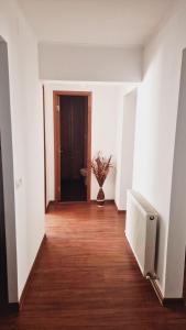 The Mountain View Apartment