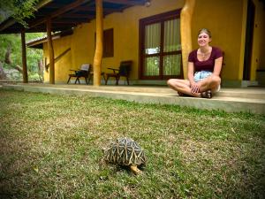 Elephant Fence Habarana