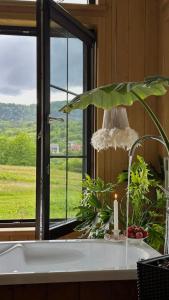 Магія Любові