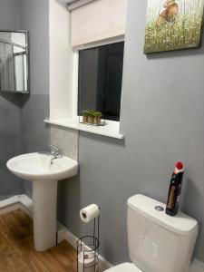 Charming 1BR Retreat with Garden & Wi-Fi