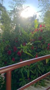 habitaciones ecopolis en el queremal