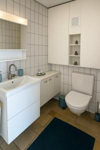 Bright furnished Studio with workspace and garden area near Zurich