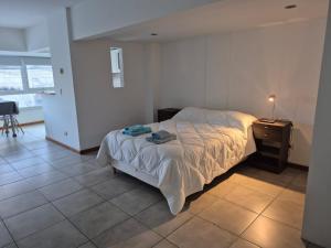 Moderno y luminoso Departamento zona Guemes con cochera