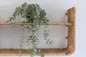 Costa Calma Rio 2 Barca Beach