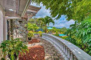 Finca Orgánica Sweet Home Mango