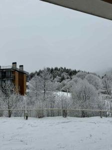 Orbi Palace, Orbi Delux apartment 109