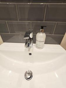 London Luxury 3 bedroom flat, free parking, garden, sleeps x10, Close to Tube